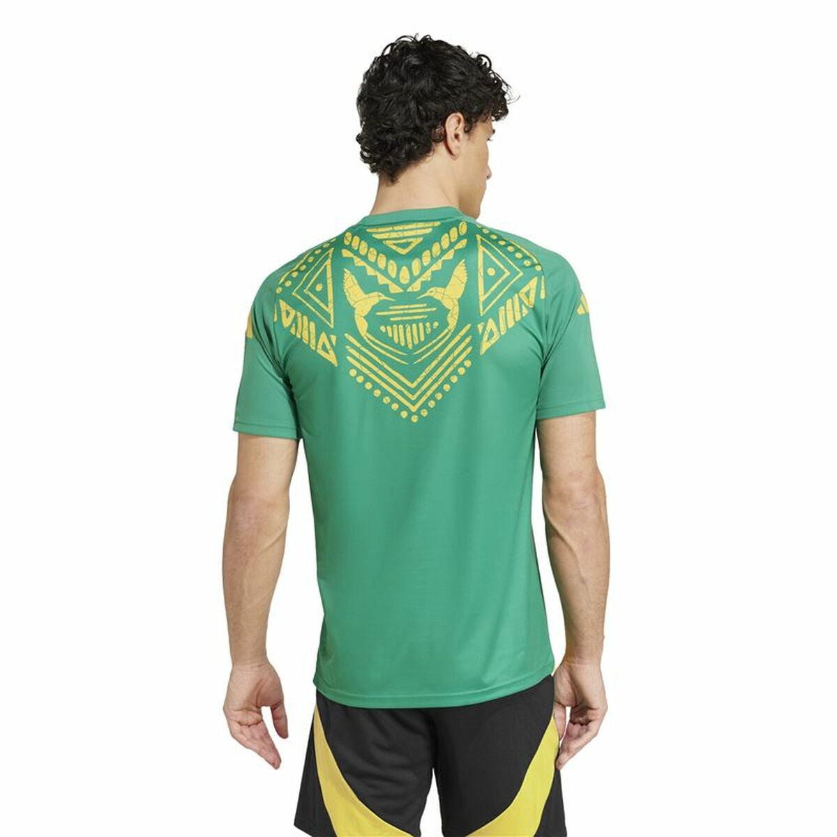 Football T-Shirt Adidas Jamaica 2024 Pre Match Green-8