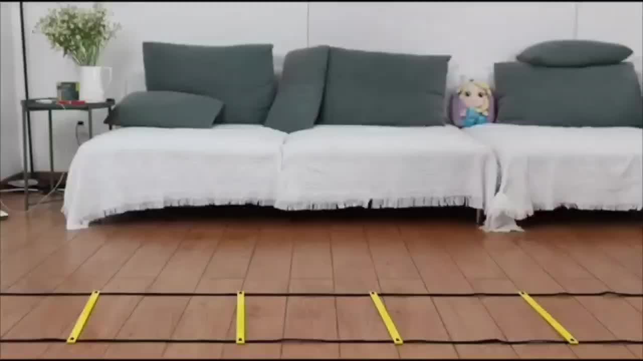 1 Set PE Agility Ladder for Speed Training, Multi-Size Horizontal Speed Ladders with Cones, Soccer & Basketball Footwork Drill Equipment, Football Fitness Training Gear