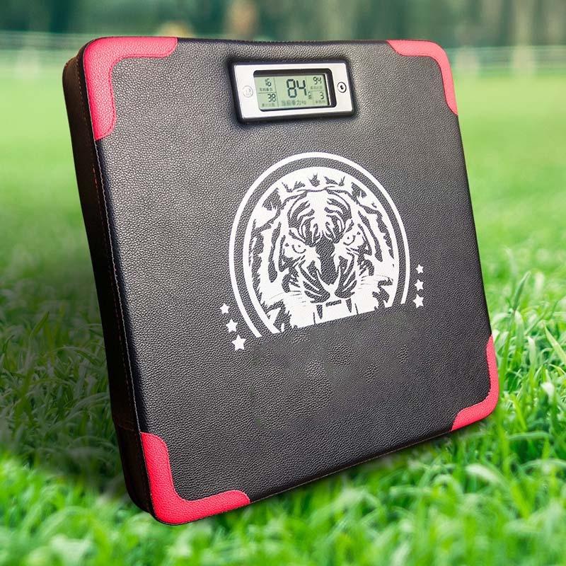 Smart Boxing Strength Tester For Training Sandbags